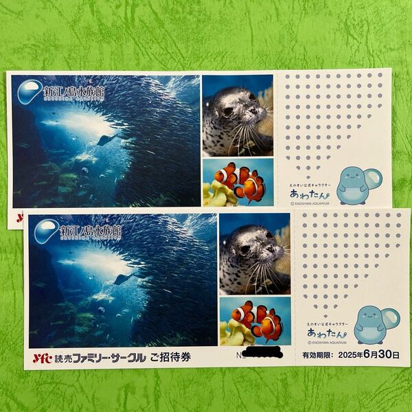 新江ノ島水族館チケット2枚