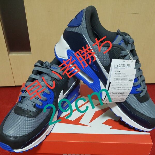 即決価格 NIKE エアマックス90 GORE-TEX 29cm