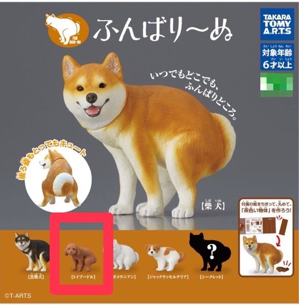 トイプードル ふんばり~ぬ ふんばりーぬ 犬
