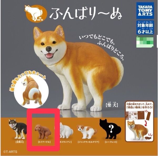 トイプードル ふんばり~ぬ ふんばりーぬ 犬
