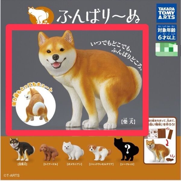 柴犬 ふんばり~ぬ ふんばりーぬ 犬