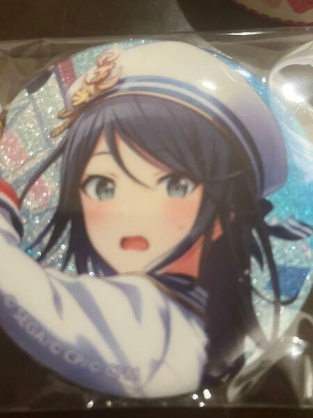 プロセカ 星乃一歌 缶バッジ