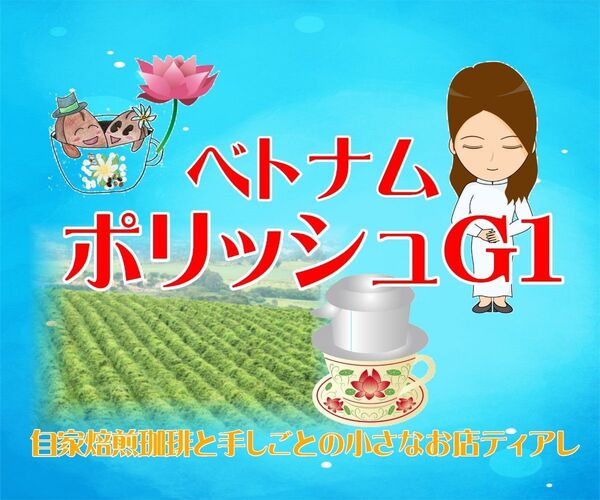 【お得300g】ベトナム ポリッシュG1 ロブスタ種 自家焙煎珈琲 コーヒー豆