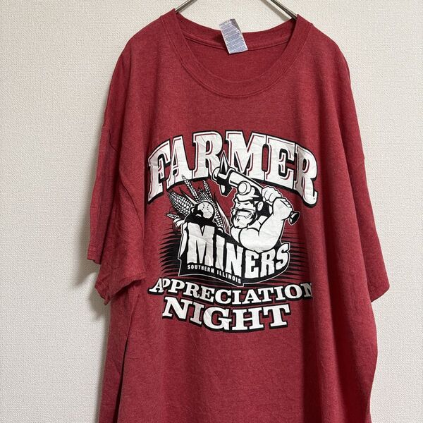 アメカジ 半袖 Tシャツ プリント 古着 XL ギルダン レッド