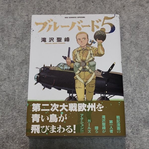 ブルーバード5 滝沢聖峰