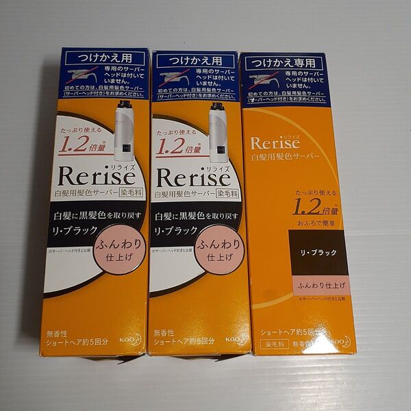 ○ リライズ 白髪用髪色サーバー リ・ブラック ふんわり仕上げ つけかえ用 190g エイジングケア ×3