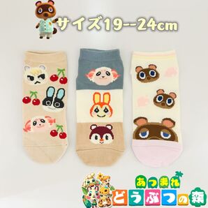 あつまれどうぶつの森 男女兼用 ソックス 靴下 3足組み 19-24cm