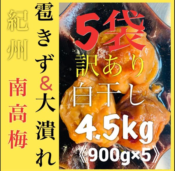 《5袋》訳あり 紀州南高梅 白干し梅干し 900g