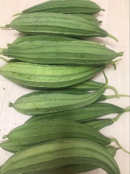 野菜 食用へちま 十角へちま20粒