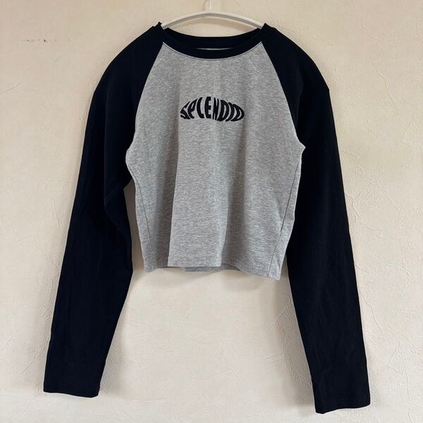 Dazy カジュアル ロゴ刺繍 ラグラン スリーブ クロップド 短丈 ラウンドネック 長袖Tシャツ M グレー