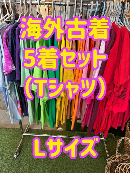 【超お得】海外古着 5枚まとめ売り L 半額 アソート 1枚1000〜3000円相当 Tシャツ 半袖Tシャツ