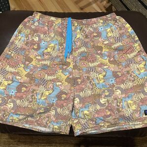 希少入手困難カラーpatagonia パタゴニア TTPBバギーズロング7インチ Sサイズハーフパンツ ショーツ