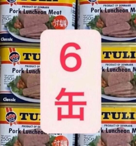 チューリップ ポーク うす塩 250g×6缶