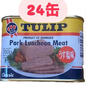 チューリップ うす塩 ポーク 250g×24缶