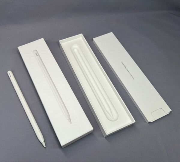 【ジャンク】Apple Pencil A2051 傷あり