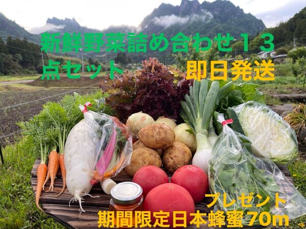 新鮮野菜詰め合わせ13点セット 期間限定日本蜂蜜70mプレゼント 100サイズ
