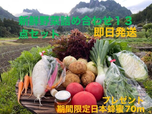 新鮮野菜詰め合わせ13点セット 期間限定日本蜂蜜70mプレゼント 100サイズ