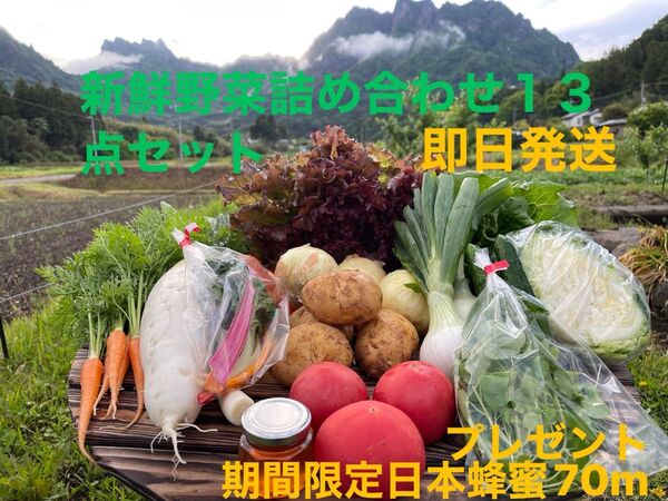 新鮮野菜詰め合わせ13点セット 期間限定日本蜂蜜70mプレゼント 100サイズ