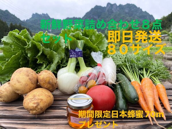 新鮮野菜詰め合わせ8点セット 期間限定日本蜂蜜70mプレゼント 80サイズ