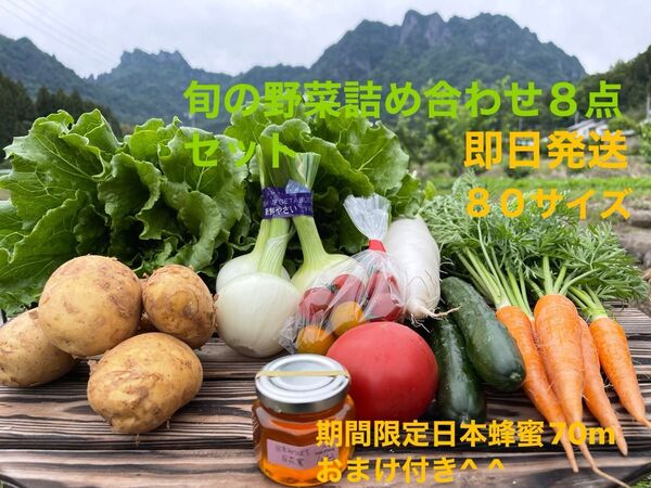 旬の野菜詰め合わせ8点セット!! 期間限定日本蜂蜜70mおまけ付き^ ^ 80サイズ