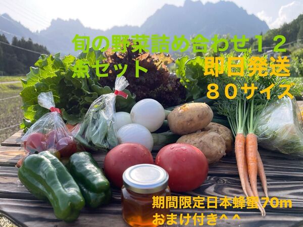 旬の野菜詰め合わせ12点セット 期間限定日本蜂蜜70mおまけ付き^ ^ 80サイズ