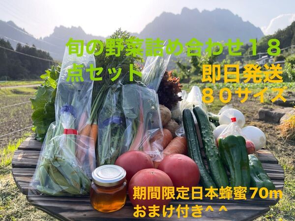 旬の野菜贅沢詰め合わせ18点セット !!期間限定日本蜂蜜70mおまけ付き^ ^ 80サイズ