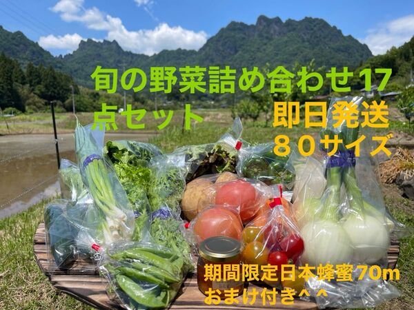 旬の野菜詰め合わせ17点セット 期間限定日本蜂蜜70mおまけ付き^ ^ 80サイズ