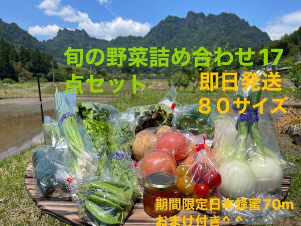 旬の野菜詰め合わせ17点セット!!期間限定日本蜂蜜70mおまけ付き^ ^ 80サイズ