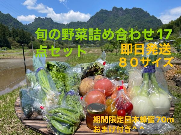 旬の野菜詰め合わせ17点セット !!期間限定日本蜂蜜70mおまけ付き^ ^ 80サイズ