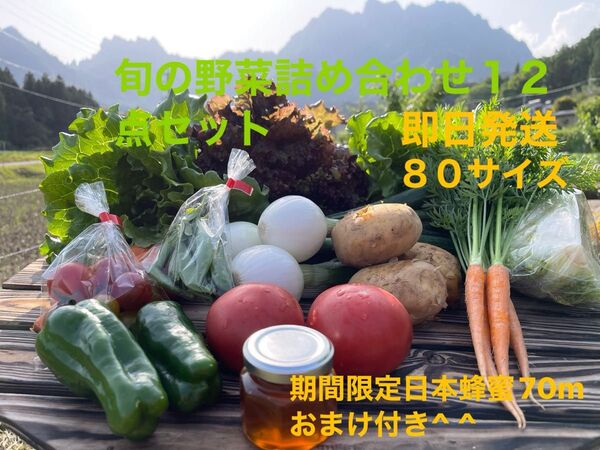 旬の野菜サラダ12点セット !!期間限定日本蜂蜜70mおまけ付き^ ^ 80サイズ