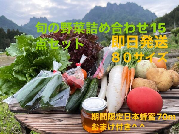 旬の野菜詰め合わせ15点セット!!期間限定日本蜂蜜70mおまけ付き^ ^ 80サイズ