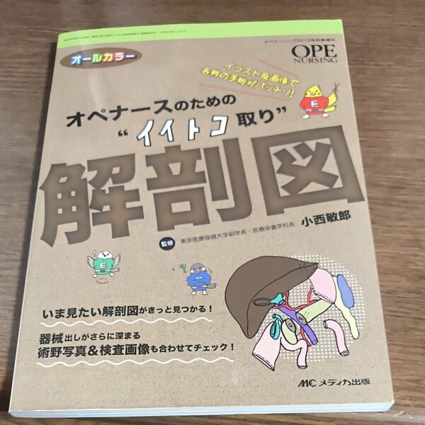 オペナースのための“イイトコ取り”解剖図 イラスト&画像で各科の手術がバッチリ! オールカラー (オペナーシング2018年秋季増刊