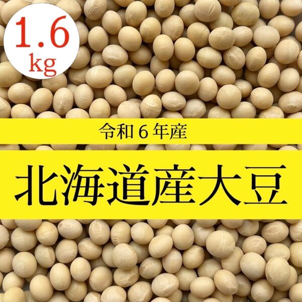 【新豆/1.6kg】令和6年産 北海道産 大豆 乾燥豆