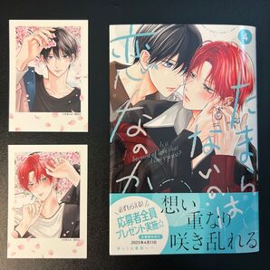 たまらないのは恋なのか TSUTAYA 特典 2種 コミック本