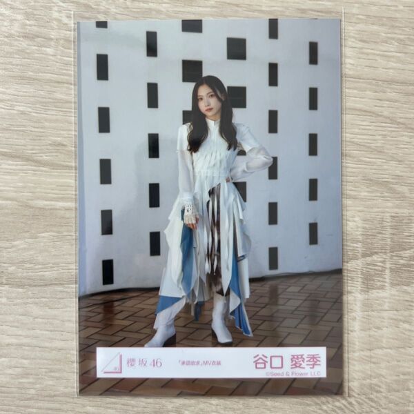 櫻坂46 生写真 承認欲求 MV衣装 谷口愛季 ヒキ