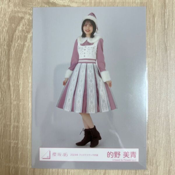 櫻坂46 生写真 2024年 クリスマスサンタ衣装 的野美青 ヒキ