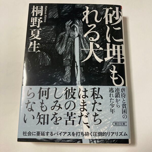 砂に埋もれる犬 桐野夏生 文庫版