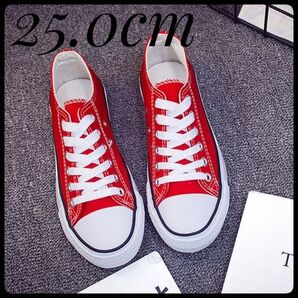 春コーデに大活躍! スニーカー 25.0cm レッド(赤)