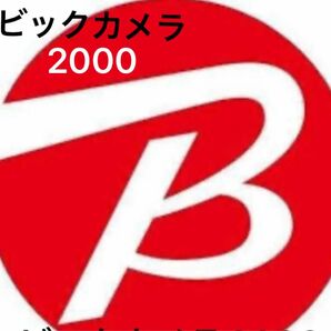 ビックカメラ ポイント クーポン