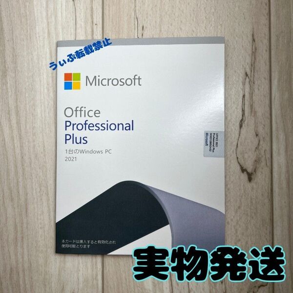Office 2021 Professional Plus DVD版
