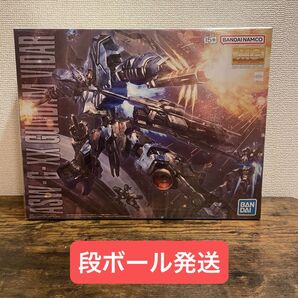MG 1/100 ガンダムヴィダール 未組立