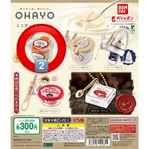 オハヨー OHAYO ミニチュアチャーム こんがり焼きプリン ガチャガチャ