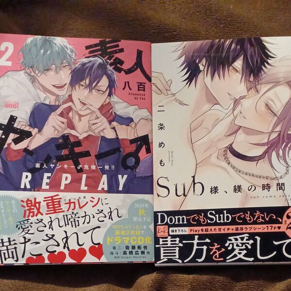 素人ヤンキー♂危機一発!! REPLAY 2 八百 Sub様、躾の時間です 3 二条めも BLコミック
