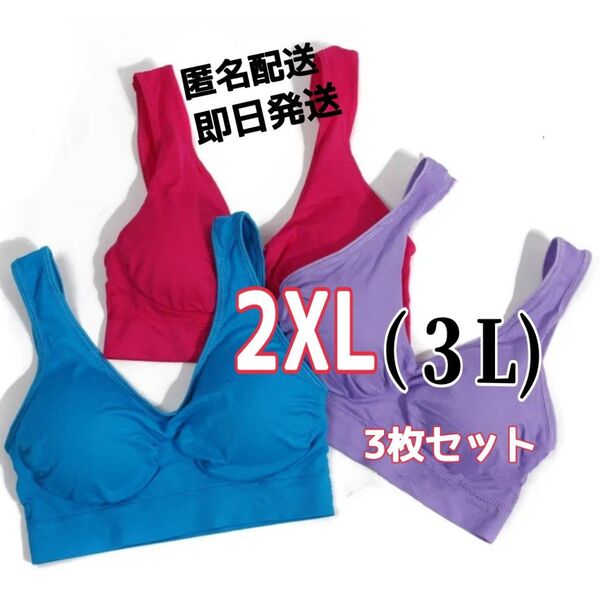 ジニエブラ スポブラ ナイトブラ 2XL(3L)サイズ ピンク、ブルー、パープル ビビットカラー3枚セット