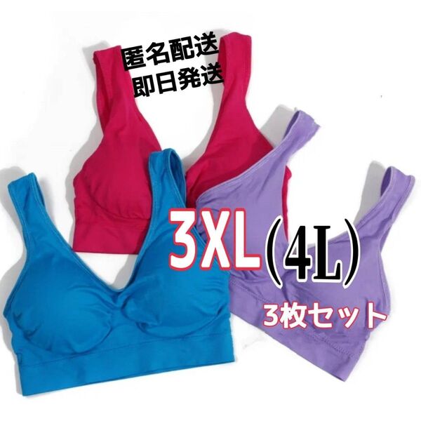 ジニエブラ スポブラ ナイトブラ 3XL(4L)サイズ ピンク、ブルー、パープル ビビットカラー3枚セット