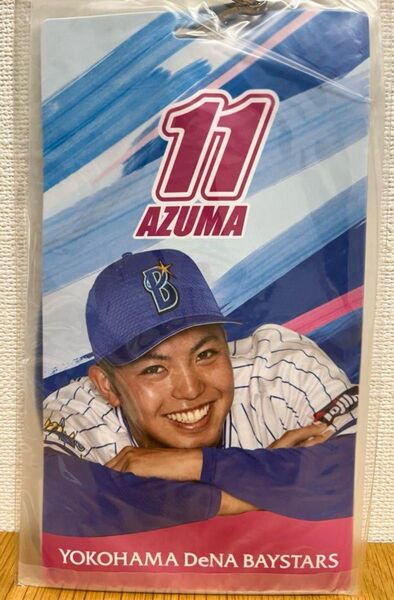 横浜DeNAベイスターズ 東克樹選手 チケットホルダー