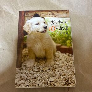 犬と私の10の約束 川口晴/著