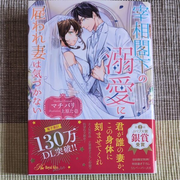 宰相閣下の溺愛に雇われ妻は気づかない (Royal Kiss more) マチバリ/著