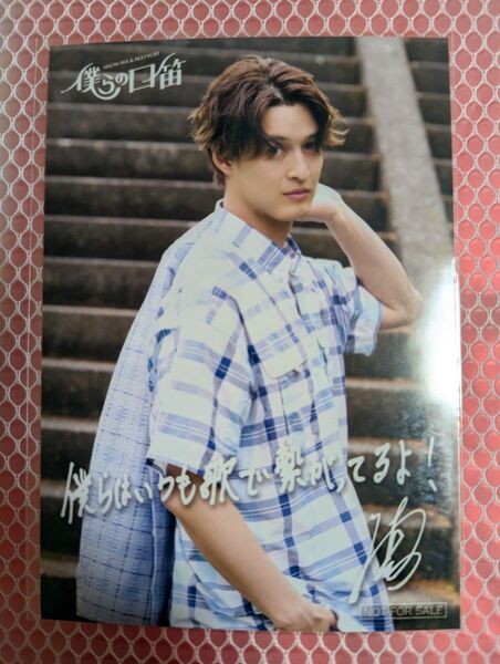 僕らの口笛 渡辺真 生写真