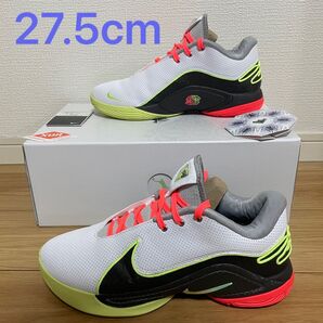 ナイキ レブロン22 Nike Lebron 22 EP バッシュ
